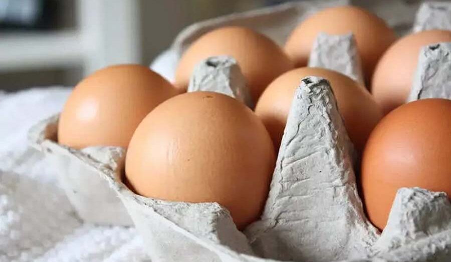 Exploring the Nutritional Powerhouse of Eggs