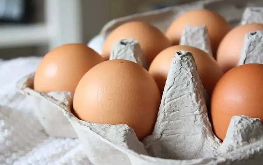 Exploring the Nutritional Powerhouse of Eggs