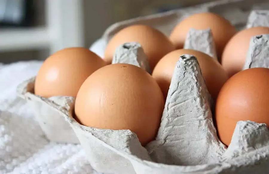 Exploring the Nutritional Powerhouse of Eggs