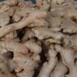 Exploring the Nutritional Marvel of Gond Laddu: A Winter Delight