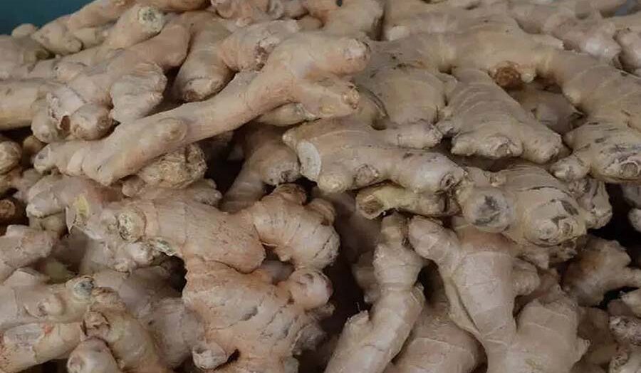 Exploring the Wonders of Ginger: A Comprehensive Guide