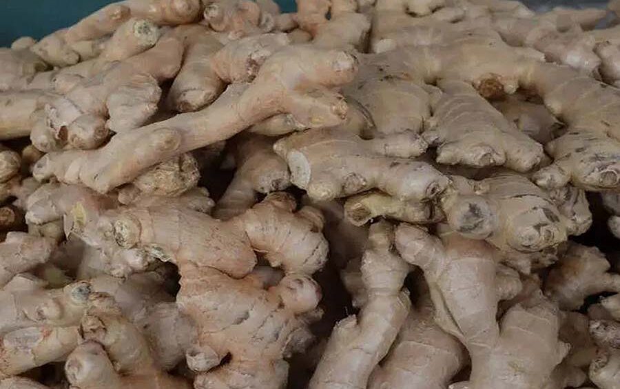 Exploring the Wonders of Ginger: A Comprehensive Guide