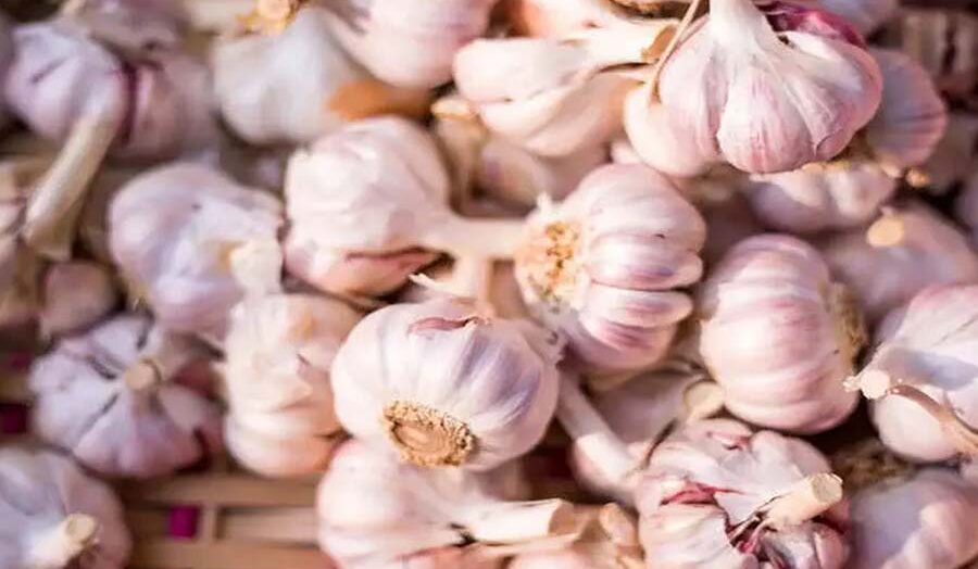 Garlic: A Flavorful and Nutritious Essential