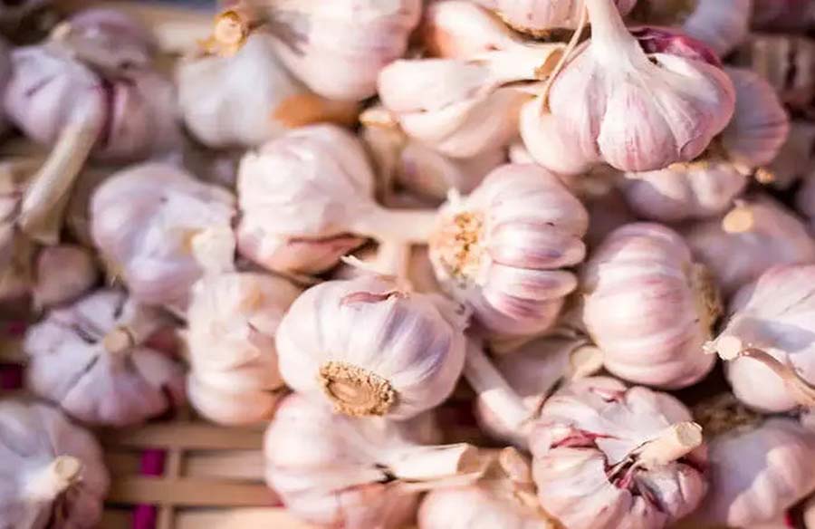 Garlic: A Flavorful and Nutritious Essential